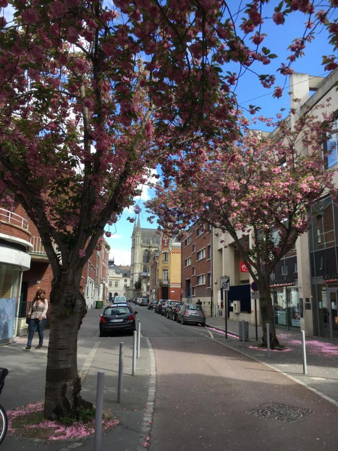 Le Duplex Amiens Centre Lägenhet Exteriör bild